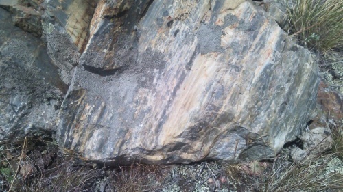 Гигантские зелёные валуны для ландшафтного дизайна весом более 5 тонн купить в Ревде