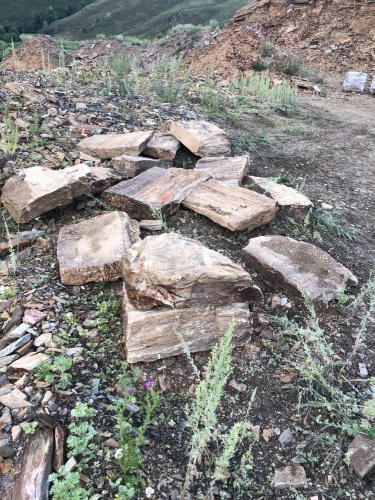 Плитняк кора дерева 50-100мм для пошаговых дорожек купить в Ревде